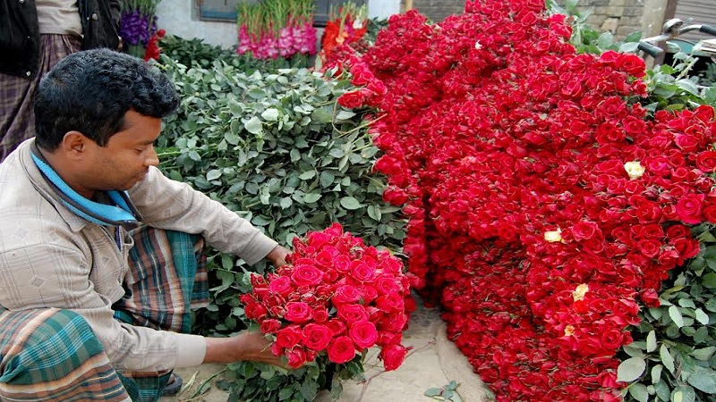 ফুলের রাজধানী যশোর জেলার গদখালি