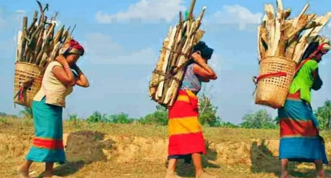 ‘ক্ষুদ্র নৃগোষ্ঠী’ বনাম ‘আদিবাসী’: একটি পর্যালোচনা