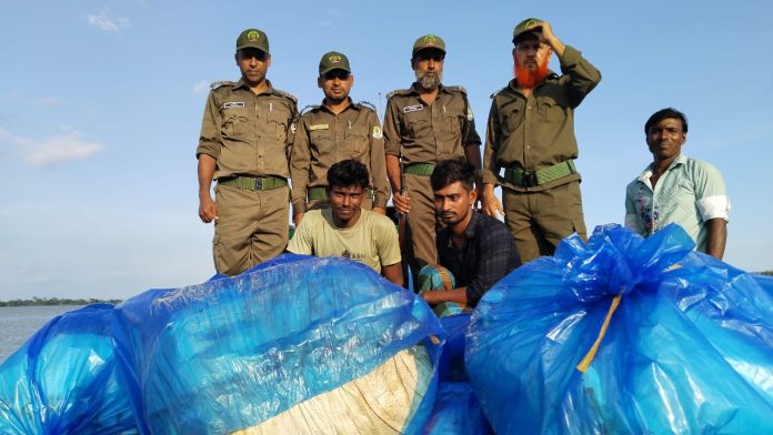 সুন্দরবনে শুঁটকি তৈরি, ২২বস্তা শুটকি জব্দ আটক-২