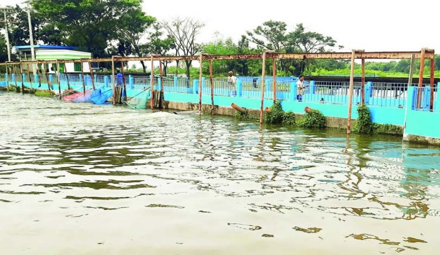 জলাবদ্ধতা নিরসনে বৈদ্যুতিক সেচযন্ত্র দিয়ে পানি সরানো চলছে তাতেও আশার আলো দেখছে না ভবদহবাসী