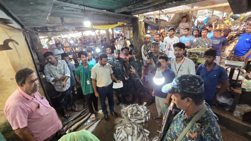 ভোক্তা অধিদপ্তরের অভিযানে ইলিশের দাম এলো ২০০ টাকায়