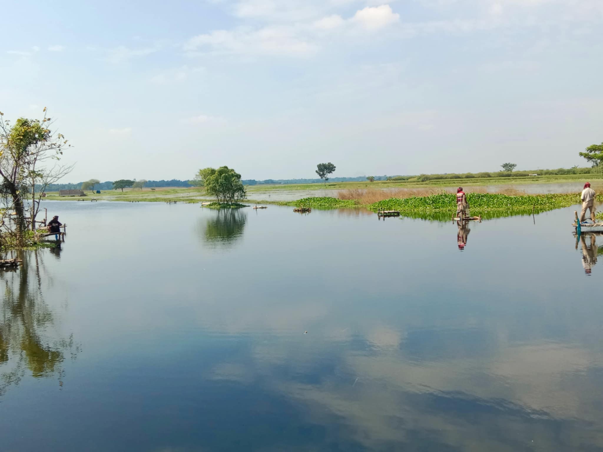 শার্শার ঠ্যাঙামারী,গোমর ও মাখলার বিলের প্রায় ৬শ একর জমি অনাবাদি থাকার আশঙ্কা!