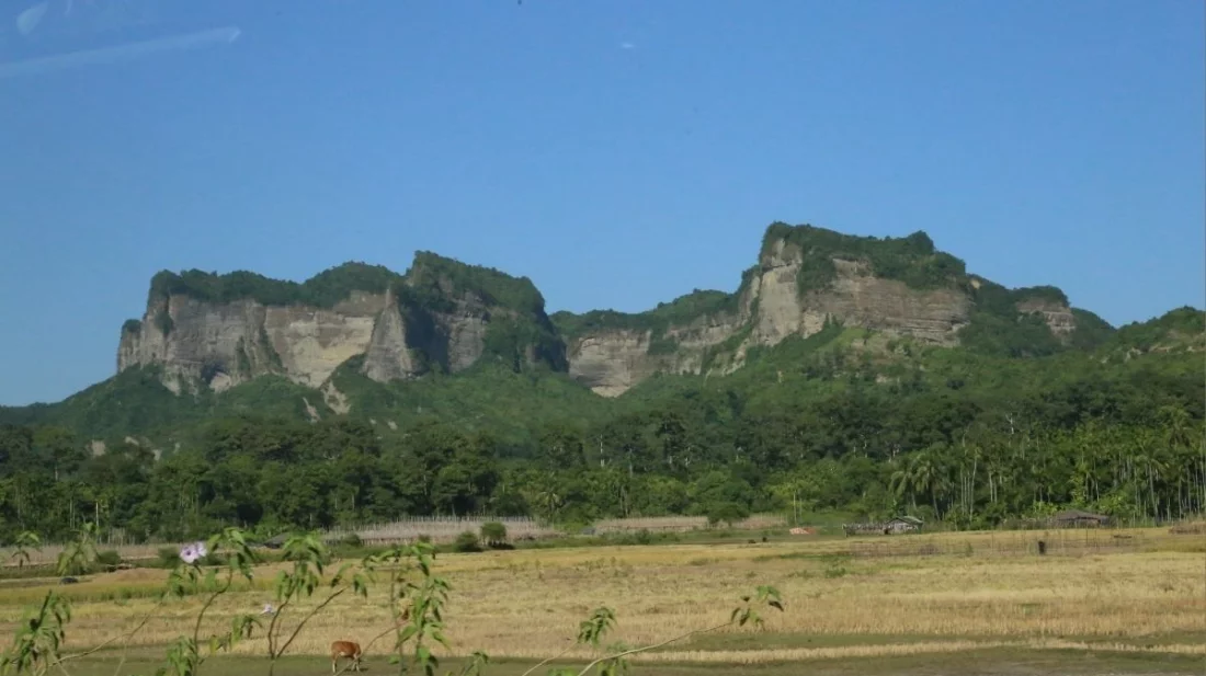 টেকনাফে মুক্তিপণ দিয়েই বাড়ী ফিরতে হয়