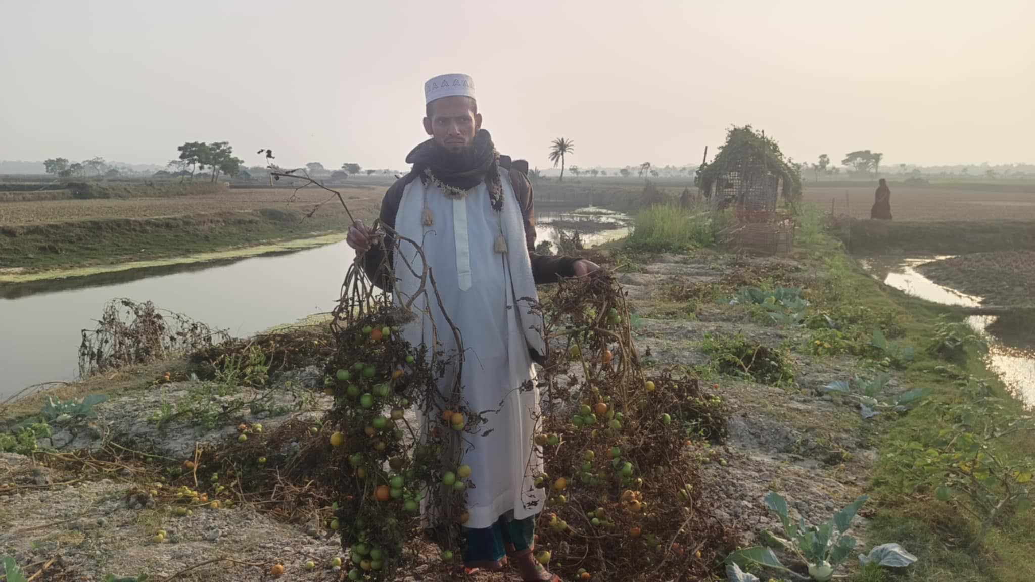 কালিগঞ্জের কৃষ্ণনগরে জবর দখল চেষ্টা ও ফসল বিনষ্টের অভিযোগ 