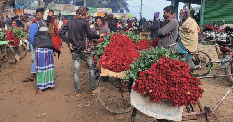 যশোরের গদখালীতে ৩৫ বছরের ফুল ব্যবসা কেড়ে নিয়েছে বিএনপি, অভিযোগ সভাপতির