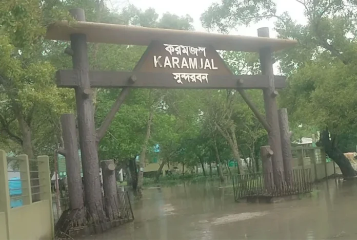 জলোচ্ছাসে প্লাবিত সুন্দরবন, দুবলায় হরিণের মৃত্যু!  