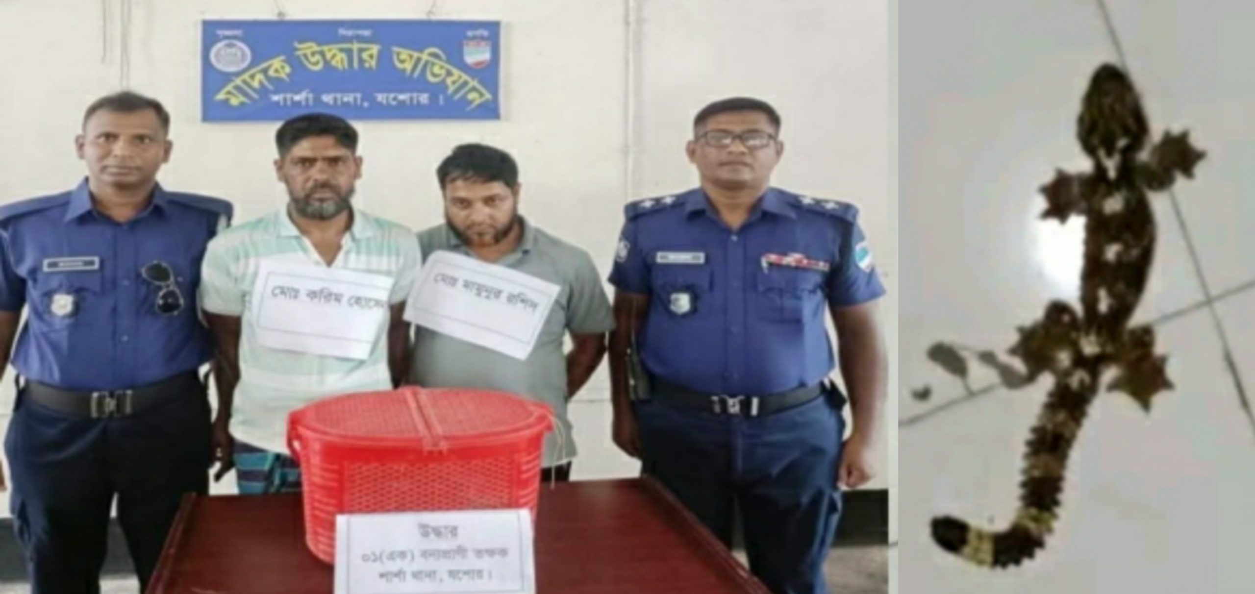 শার্শায় বন্যপ্রাণী তক্ষক সাপসহ দুইজন আটক