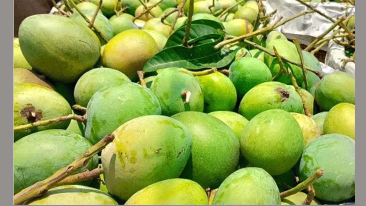বিশ্বের ২৫টি দেশে আম রফতানির লক্ষ্যমাত্রা ৪ হাজার টন, ইতোমধ্যে সরবরাহ হয়েছে ৬ শ’ টন