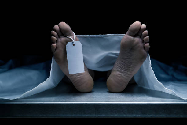 ঝিকরগাছায় অজ্ঞাতনামা বৃদ্ধের মরদেহ উদ্ধার