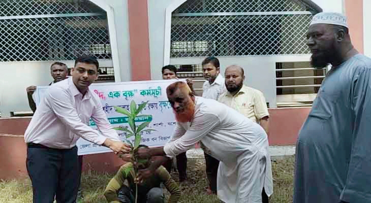  বেনাপোলে শহীদ আব্দুল্লাহর স্মৃতি স্মরণে বৃক্ষরোপণ