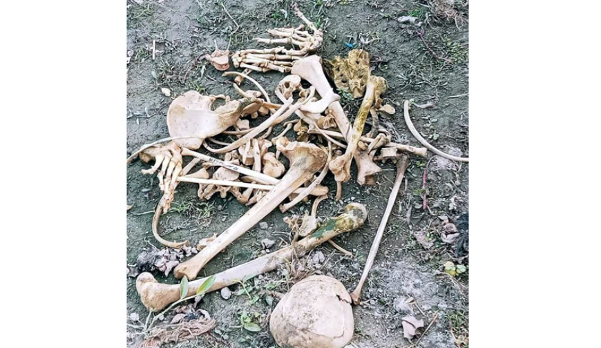 যশোরে বানিয়াবহু গ্রাম থেকে কঙ্কাল উদ্ধারে এলাকাজুড়ে চাঞ্চল্যের ঝড়!
