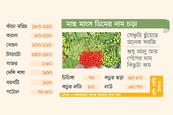 হুট করে বাজারে লেগেছে আগুন, হোচটে স্বল্প আয়ের মানুষ