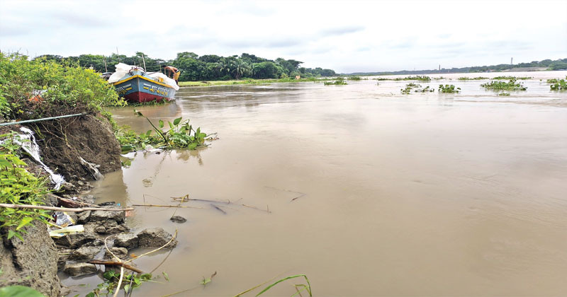 বছর বছর ভাঙছে কমছে জমি, গৃহহীন হচ্ছে মাদারীপুরের হাজারো মানুষ!