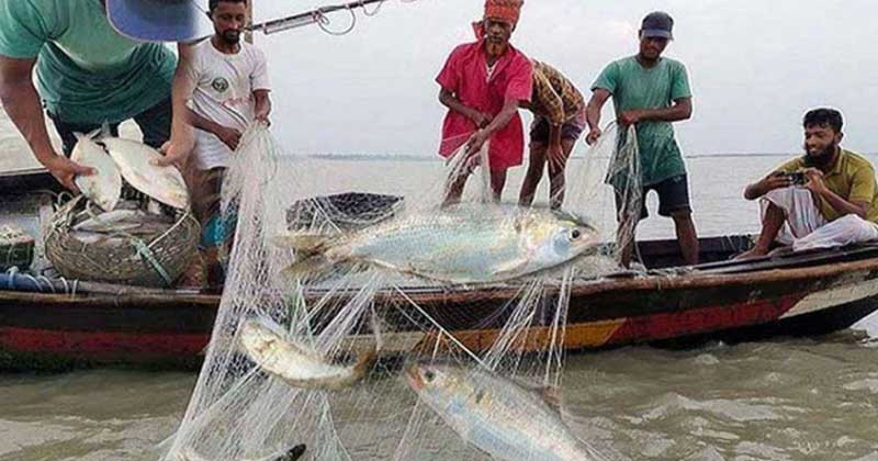সরকারি নিষেধাজ্ঞা শেষ হচ্ছে, ইলিশ শিকারে প্রস্তুত আজ