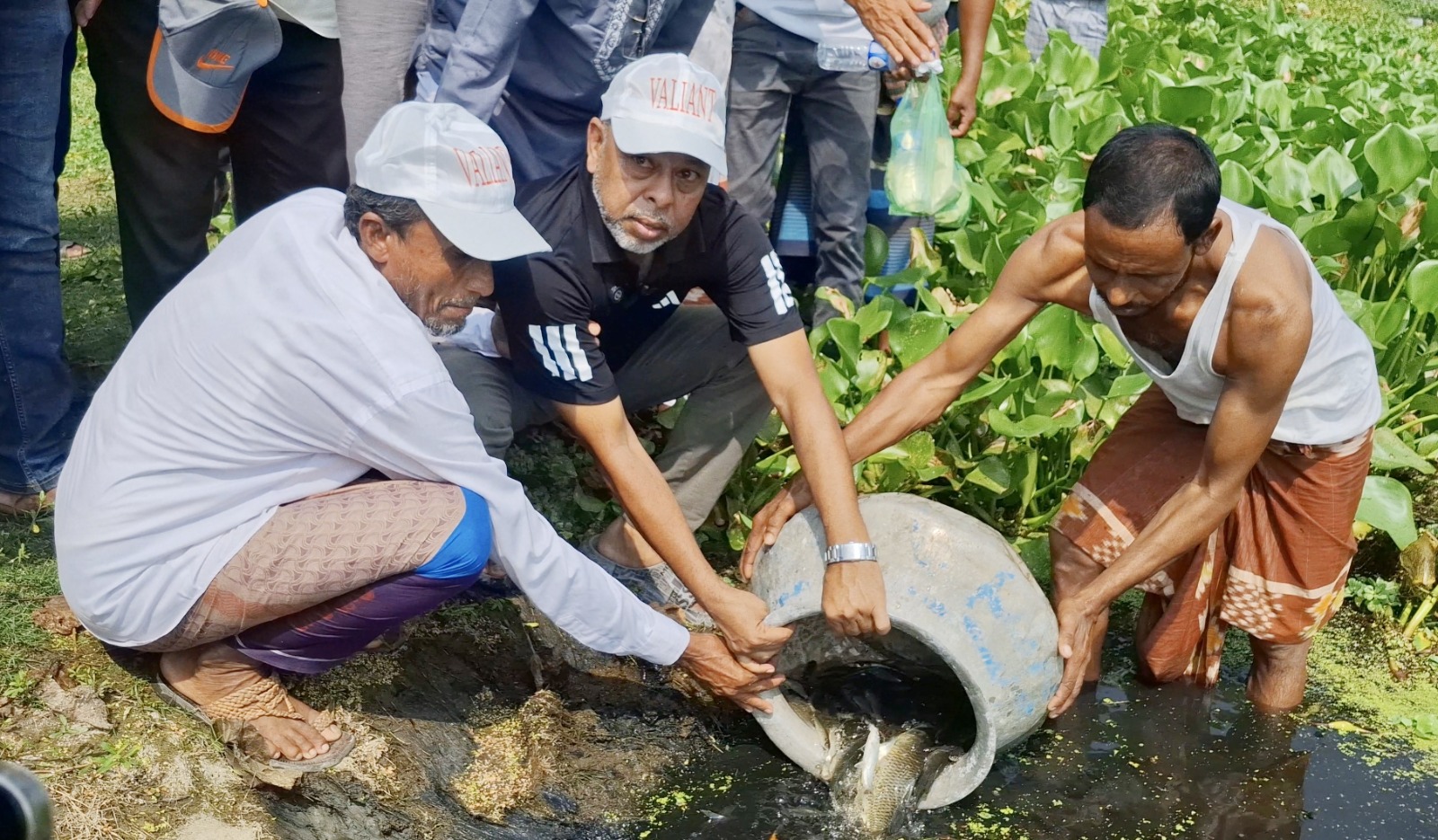 বাঁকড়ায় কপোতাক্ষ নদে মাছের পোনা অবমুক্ত