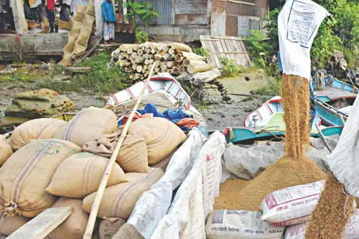 সরকার  চলতি আমন মৌসুমে ৩৪ টাকায় ধান, ৪৯ টাকায় আতপ চাল ক্রয় করবে