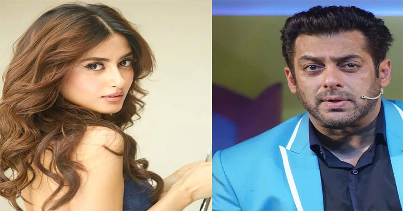 সালমানের প্রতি এবার পাকিস্তানি অভিনেত্রীর তীব্র আবেগ