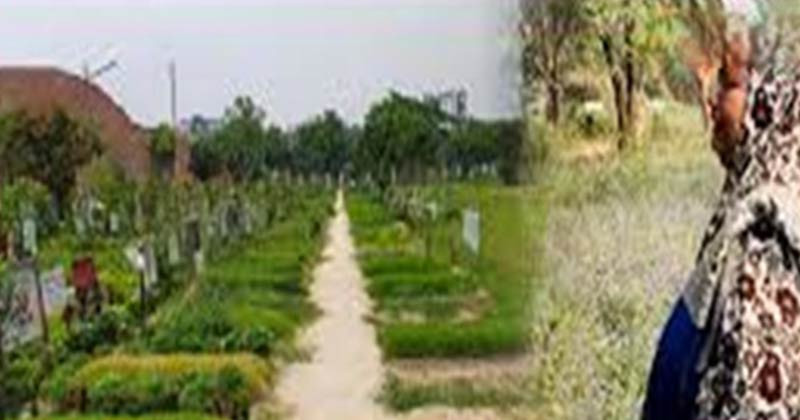 স্বপ্নেই মা চিনেছিলেন সন্তানের কবর আর ডিএনএ মিলল সেই গাছের নিচেই