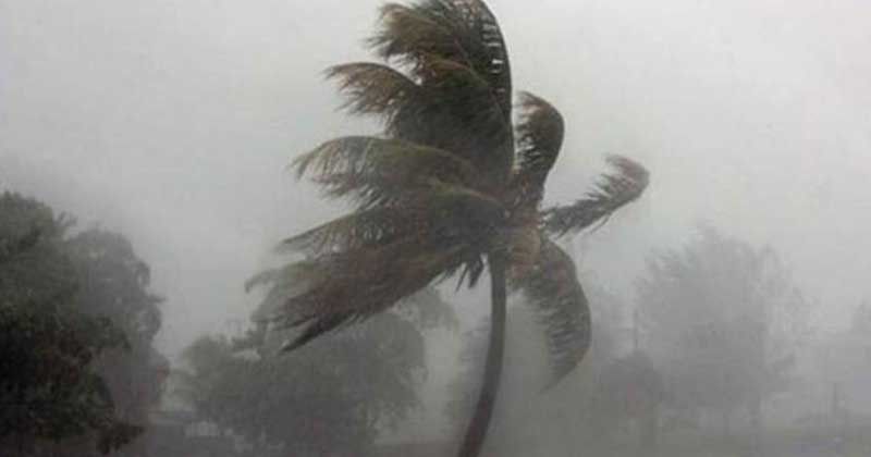 কাল বোশেখী ঝড় ধেয়ে আসছে