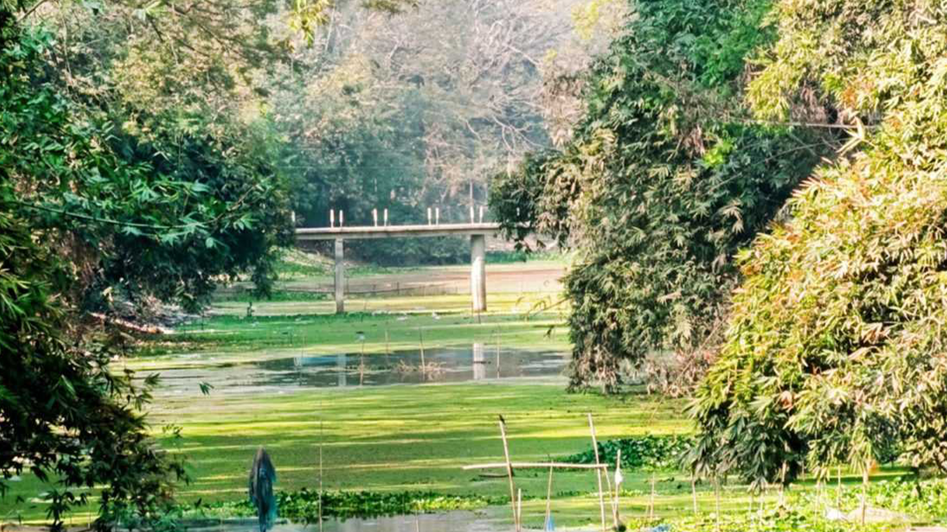 যশোরে মৃতপ্রায় ২০ খাল খননের উদ্যোগ