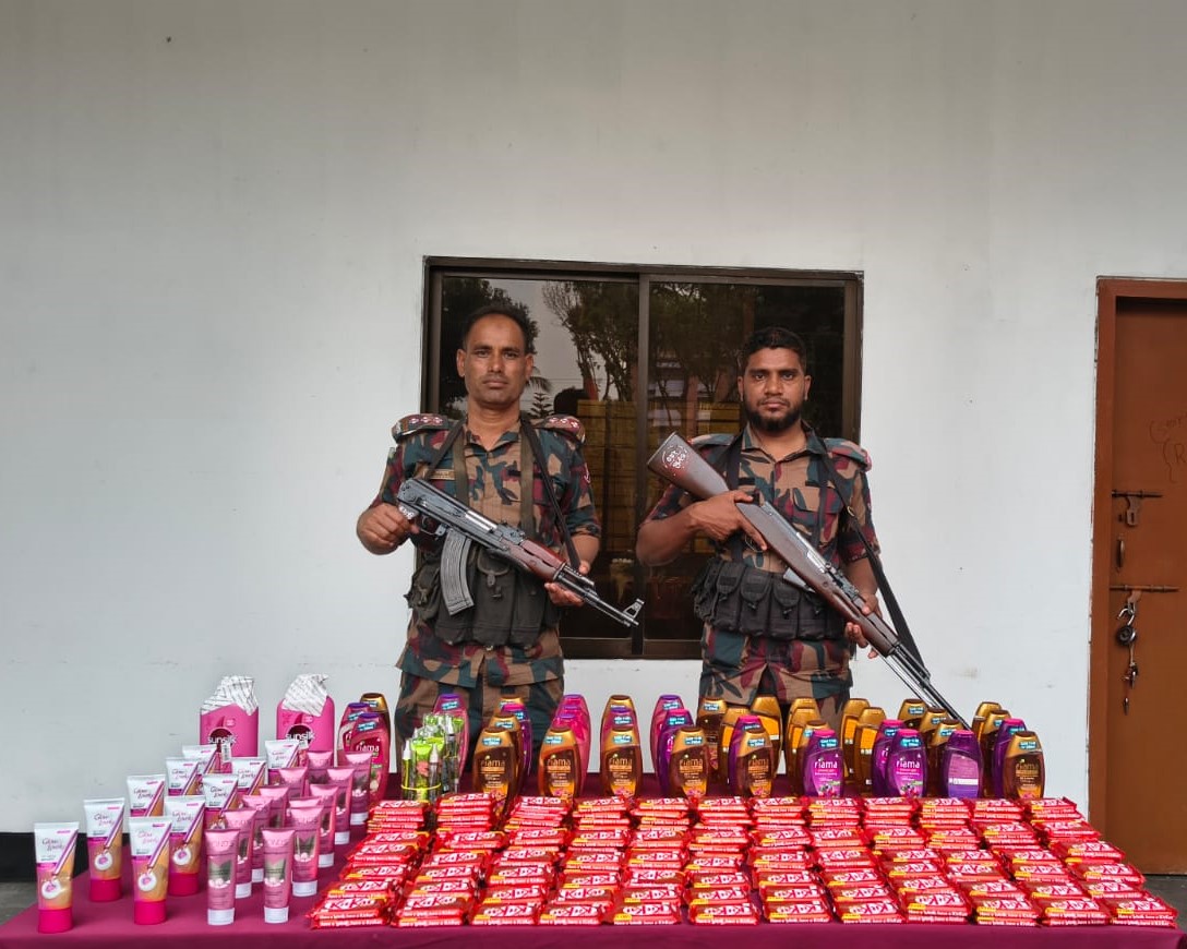 বেনাপোল, আমড়াখালী সীমান্ত এলাকায় ৪৯ বিজিবির অভিযান