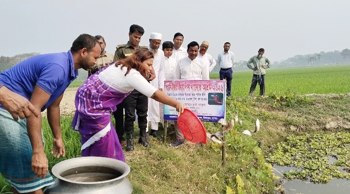 ঝিকরগাছায় পাখিদের নিরাপদ খাদ্য আশ্রমের উদ্বোধন