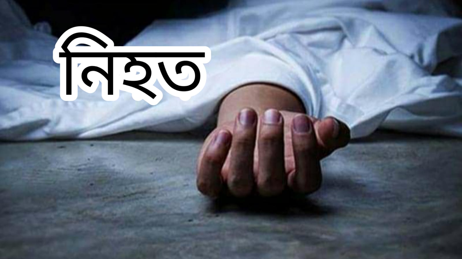 বেনাপোল স্থলবন্দরে ক্রেনের তার ছিঁড়ে নিহত-১, আহত-১