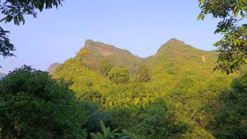 টেকনাফের পাহাড়ি জনপদের বাসিন্দারা অপহরণ আতংকে!   