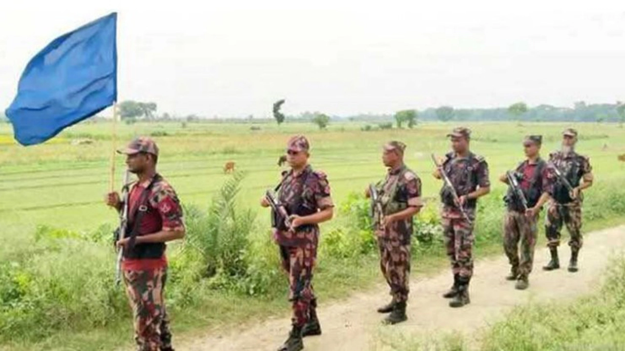 চামড়া পাচাররোধে সীমান্তে এখনো কঠোর অবস্থানে বিজিবি
