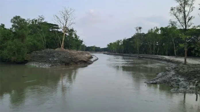 রেবেকা টপি’র ‘এক গুচ্ছ কবিতা’