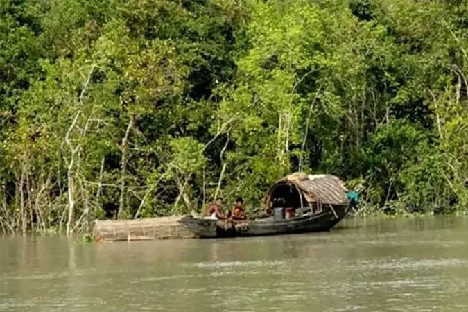 সুন্দরবনে প্রবেশে ৩ মাসের নিষেধাজ্ঞা আজ থেকে শুরু হচ্ছে