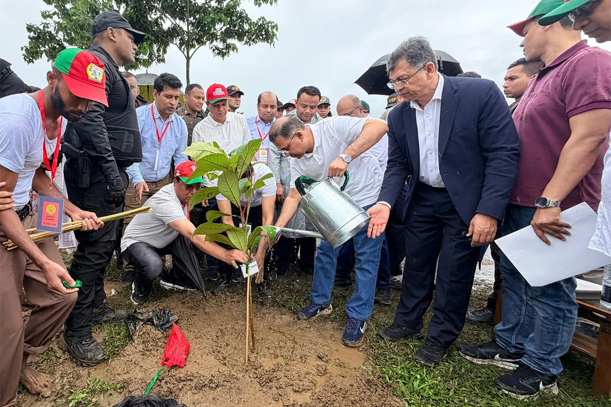 সারাদেশে ২৫ কোটি বৃক্ষরোপণ কর্মসূচির উদ্বোধন প্রধানমন্ত্রীর