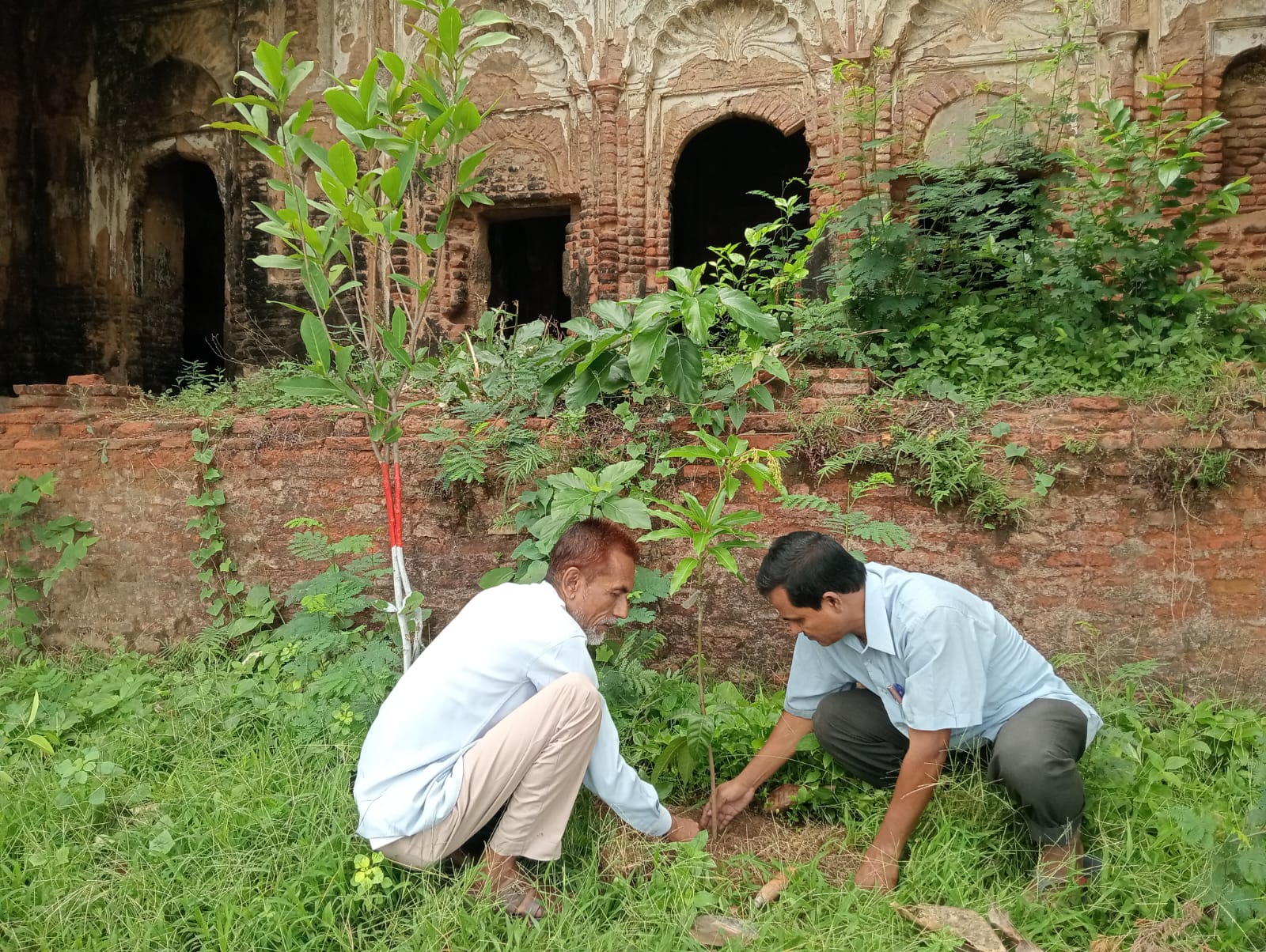 ৫ জুন বিশ্ব পরিবেশ দিবস উপলক্ষে মাসব্যাপী বৃক্ষরোপণ কর্মসূচির উদ্বোধন