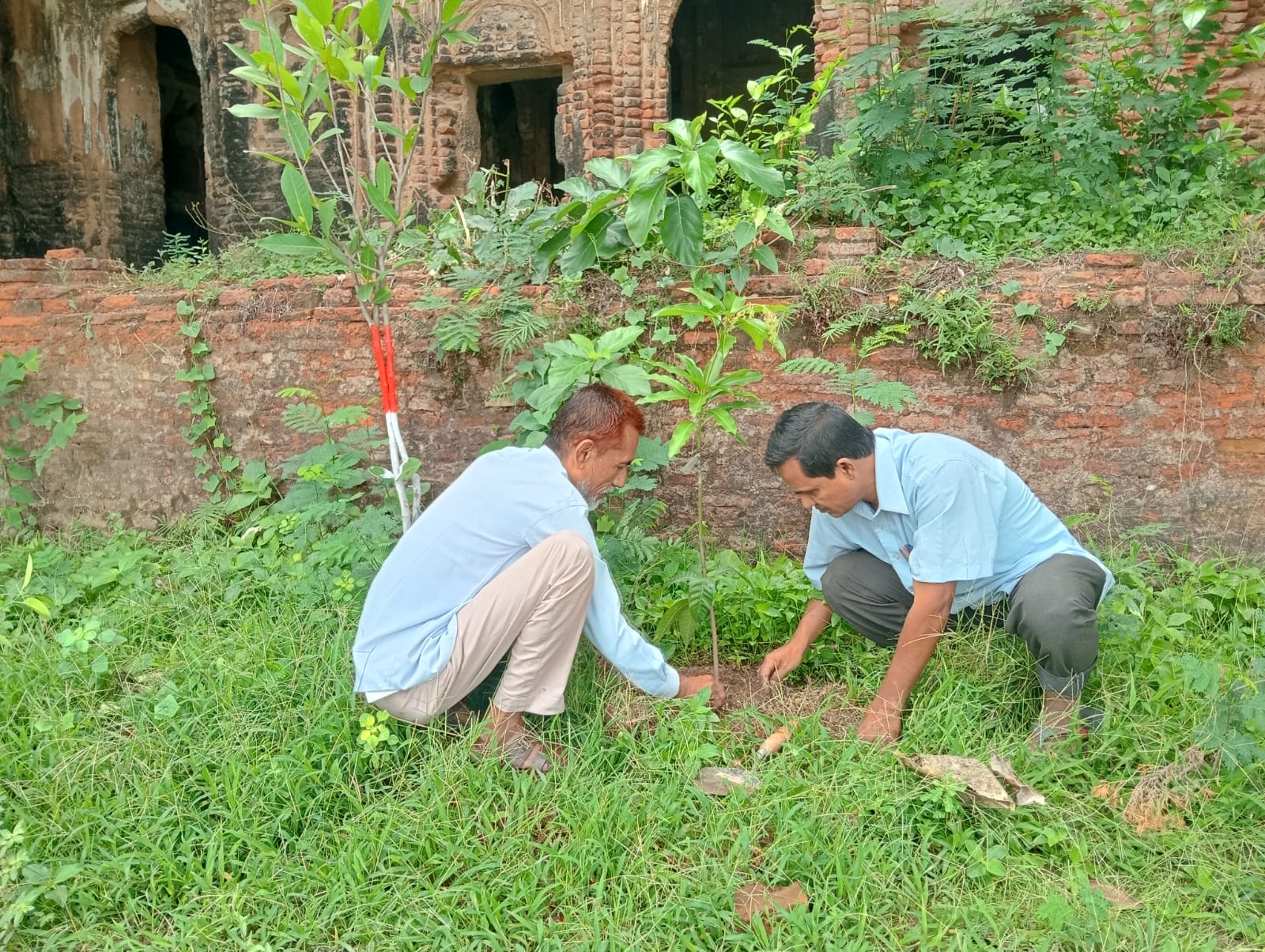 নারী নক্ষত্র সোসাইটি ও নারী নক্ষত্র যুব সোসাইটির বৃক্ষরোপণ কর্মসূচির শুভ সূচনা