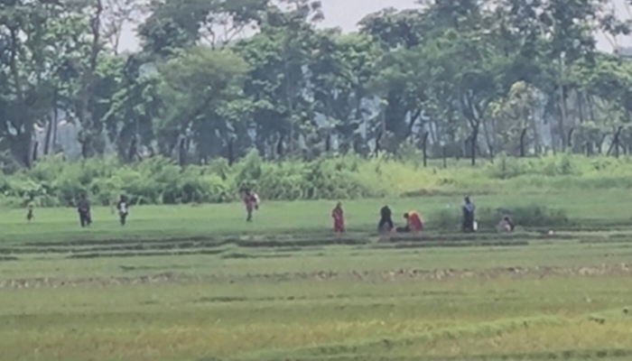 বেনাপোল সীমান্তে অবৈধ অনুপ্রবেশের চেষ্টা ব্যর্থ করে দিলো বিজিবি সদস্যরা