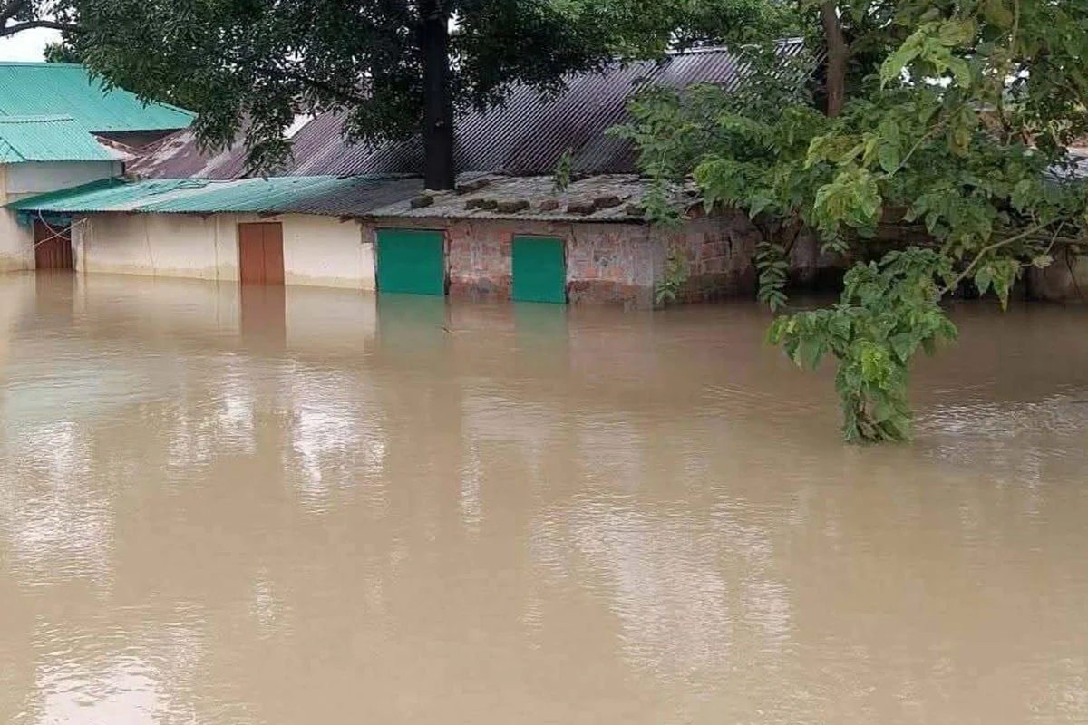 অতিবৃষ্টি-পাহাড়ি ঢলে দেশের ৪৩ জেলায় ফসলের ক্ষতি, মৃতের সংখ্যা ৫৬