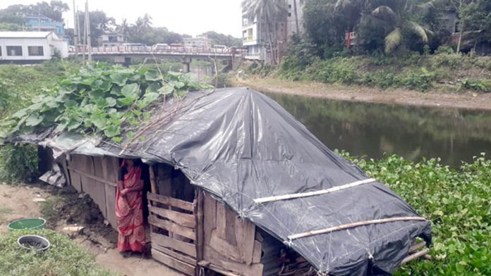 জোহরা দম্পতির জীবন কাহিনীঃ পোকামাকড়ের সঙ্গে খুপরি ঘরে তাঁদের বসবাস
