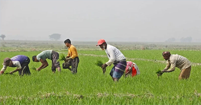 কৃষকদের জন্য ১ কোটি টাকা পর্যন্ত ঋণ নেয়ার সুযোগ আসছে