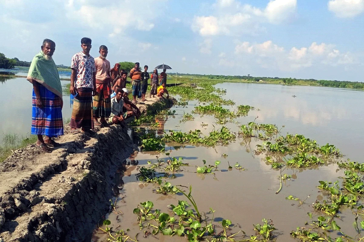 কপোতাক্ষ নদের ভাঙন সৃষ্টি পানি ঢুকছে ছুঁইয়ে, বাসিন্দারা আতঙ্কে!