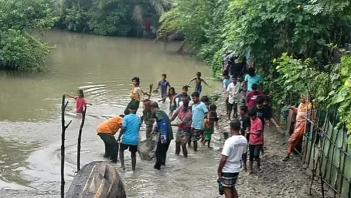মুরগির খোপে আলটা পাকিয়ে ছিল বিশাল এক অজগর