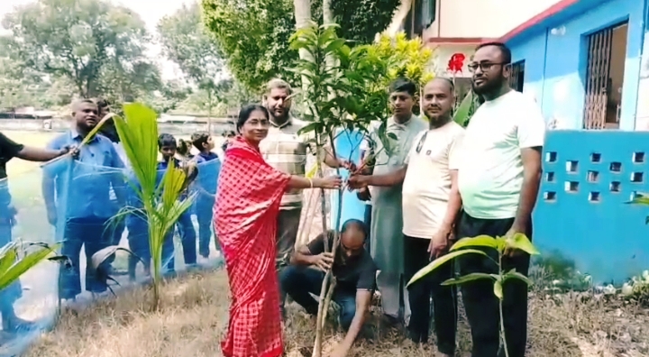 বাঘারপাড়ায় বিভিন্ন শিক্ষা প্রতিষ্ঠানে ‘বন্ধু মহলের’ উদ্যোগে আমের চারা রোপণ